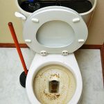 Clogged Toilet.